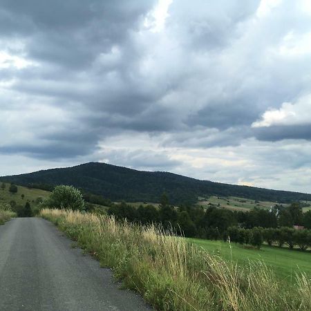 Pokoje U Bozeny I Zbyszka Lipie  Bagian luar foto