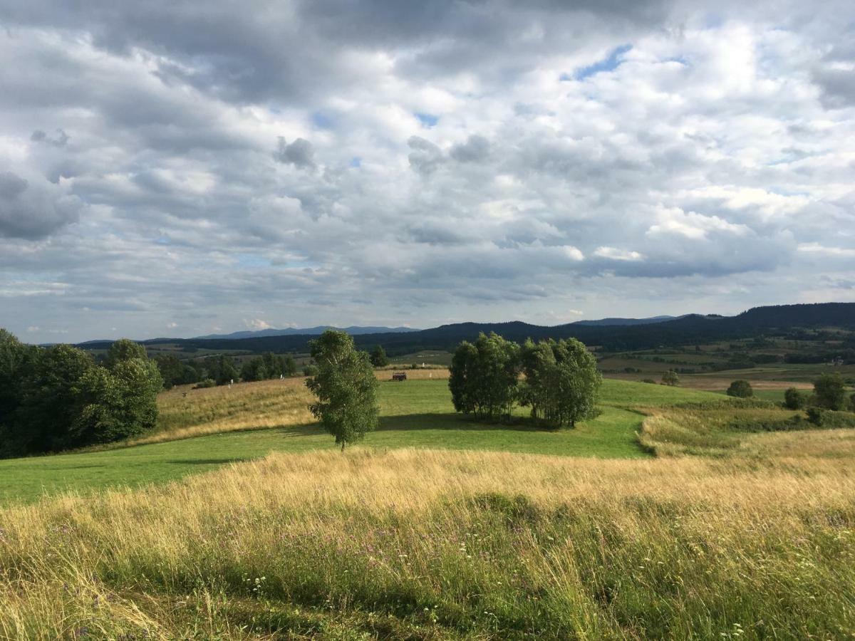 Pokoje U Bozeny I Zbyszka Lipie  Bagian luar foto