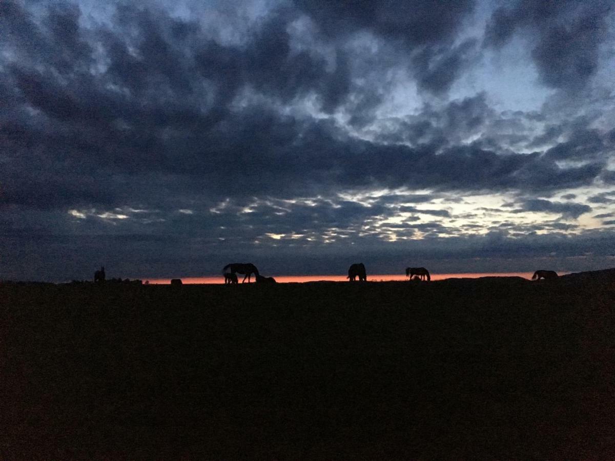 Pokoje U Bozeny I Zbyszka Lipie  Bagian luar foto