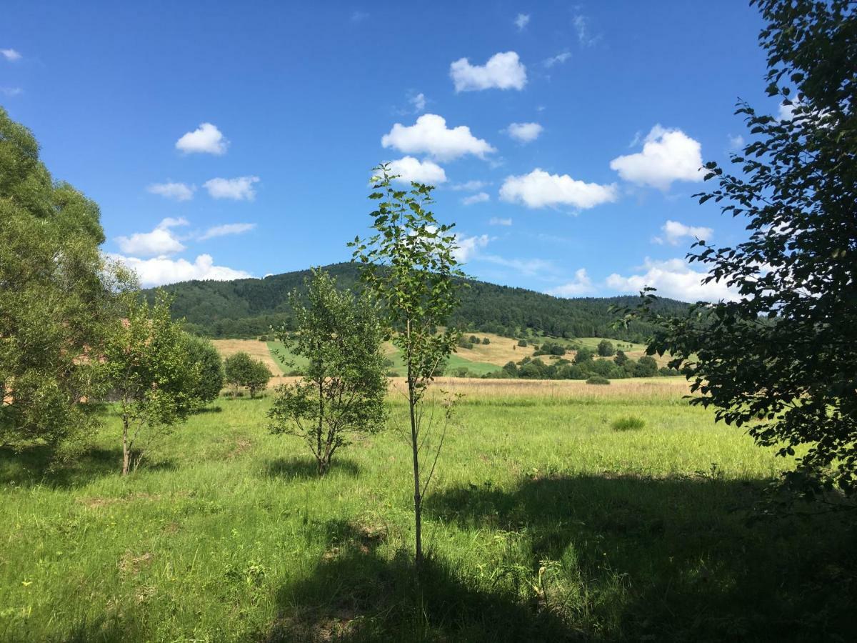 Pokoje U Bozeny I Zbyszka Lipie  Bagian luar foto