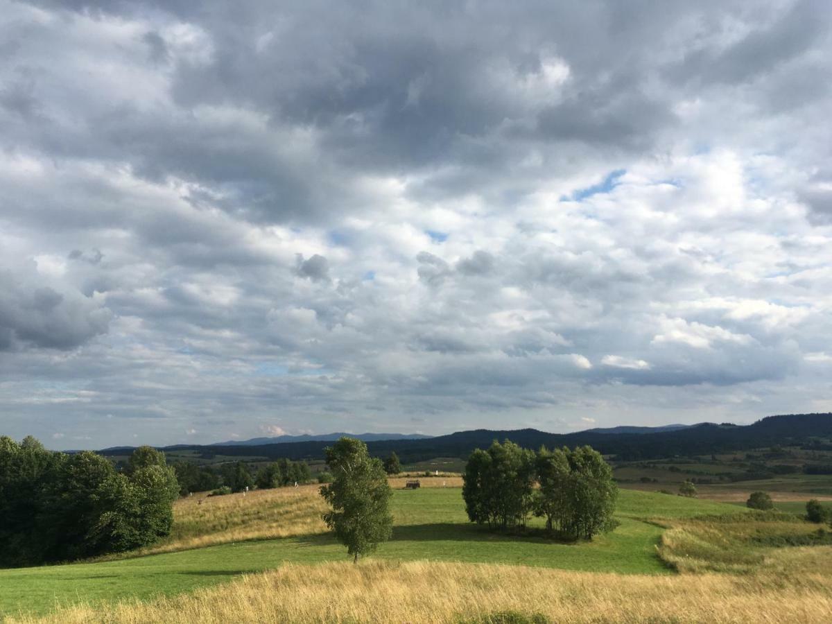 Pokoje U Bozeny I Zbyszka Lipie  Bagian luar foto